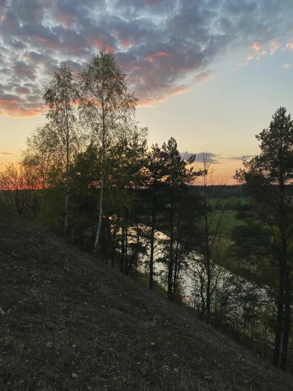 Городище эпохи раннего железного века — фото 4