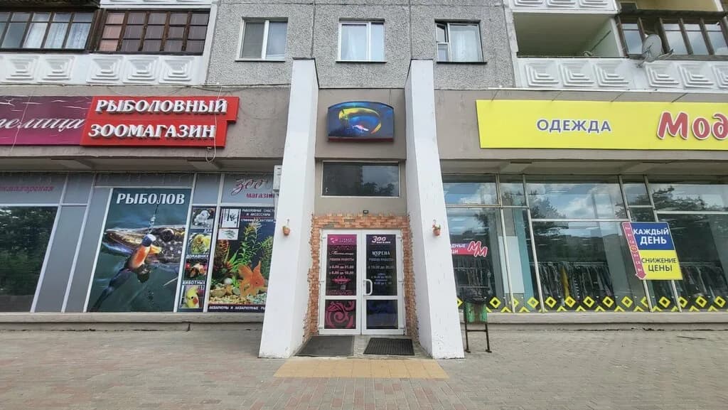 Мурена