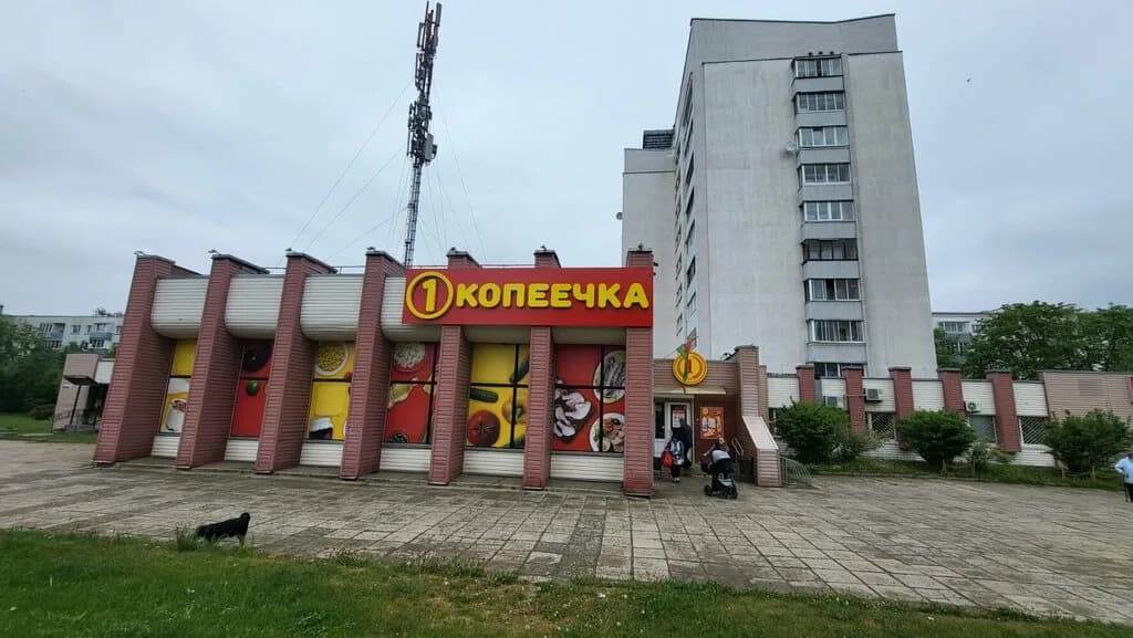 Копеечка — фото 3