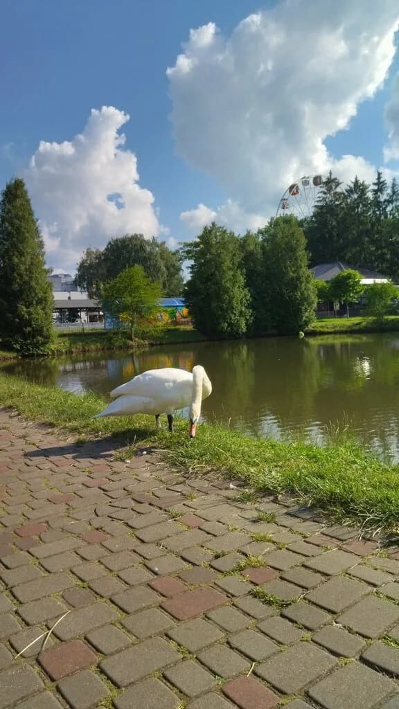 Домик для уточек — фото 5