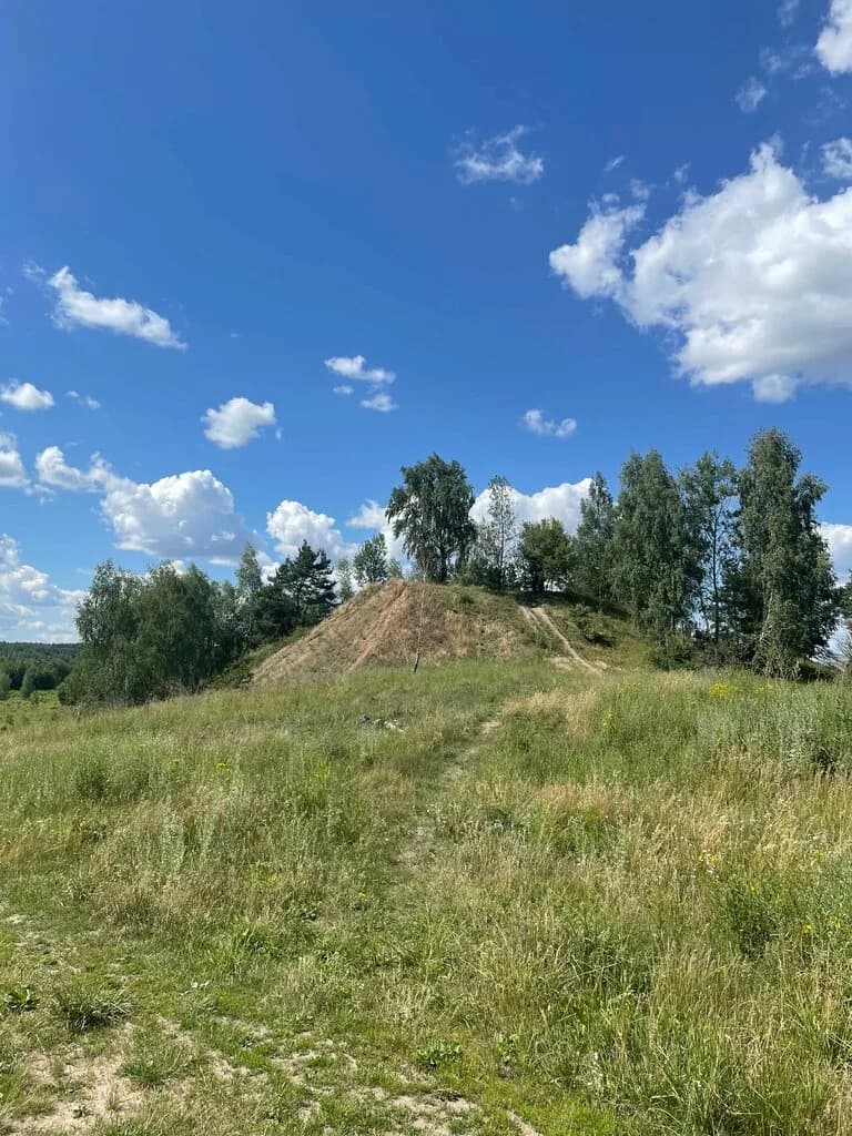 Городище эпохи раннего железного века