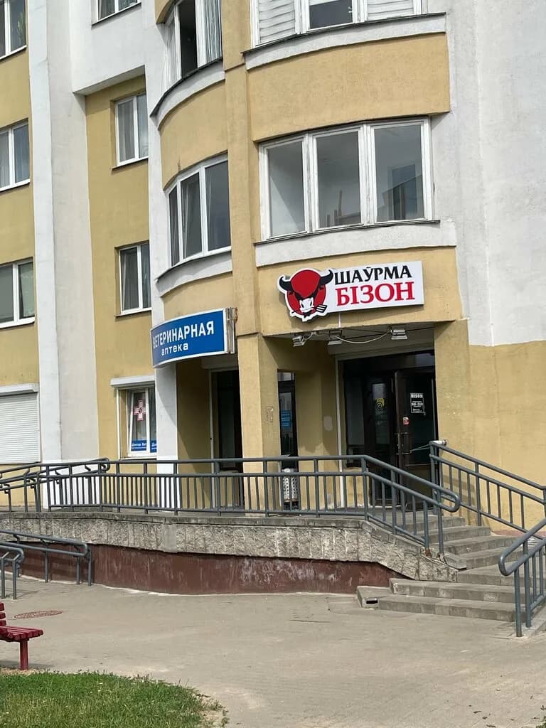 Бизон