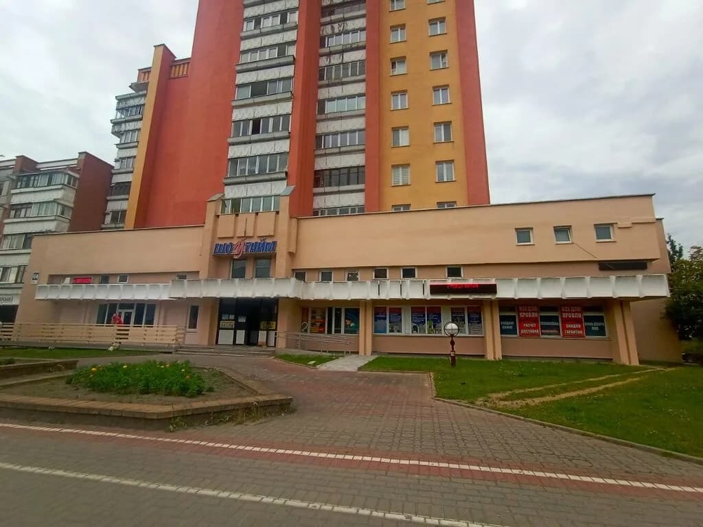 Чайка