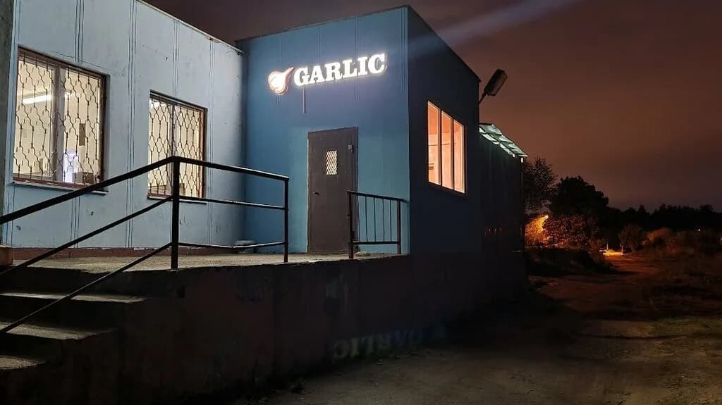 Garlic — фото 3