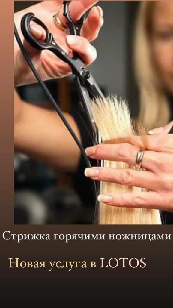 Лотос — фото 5