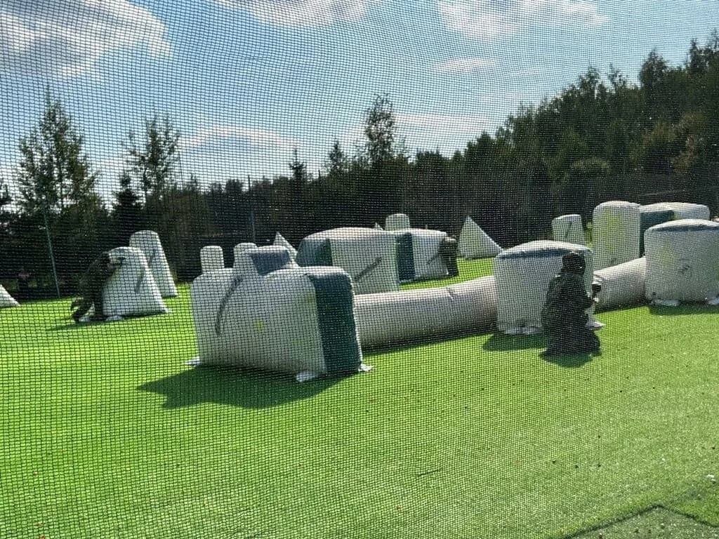 Черная пантера — фото 2
