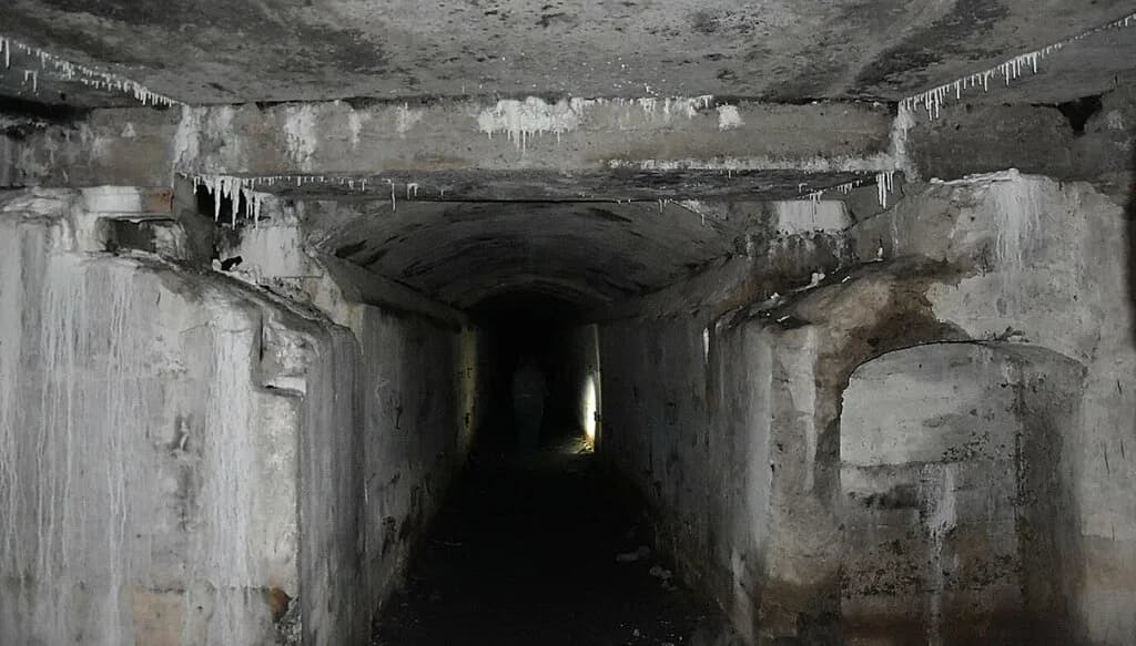 Форт литеры О Корощин — фото 3