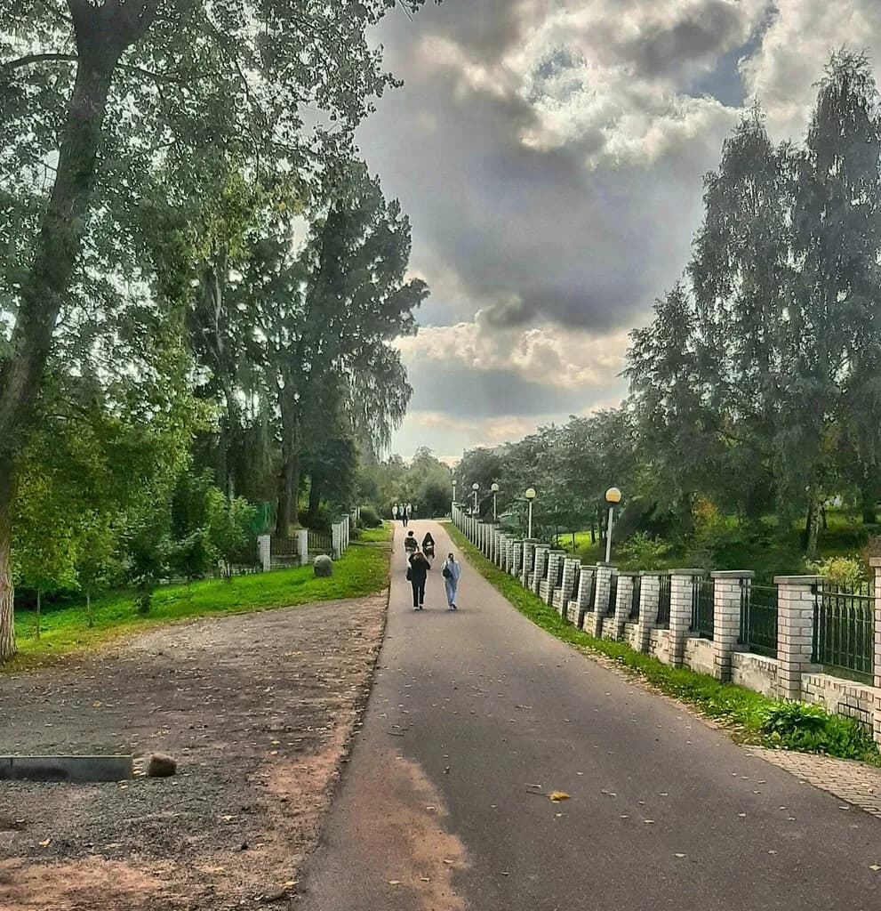 Остатки ворот — фото 3