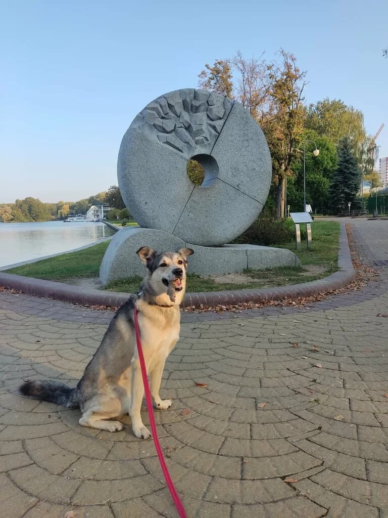 Мельница Переспы — фото 6