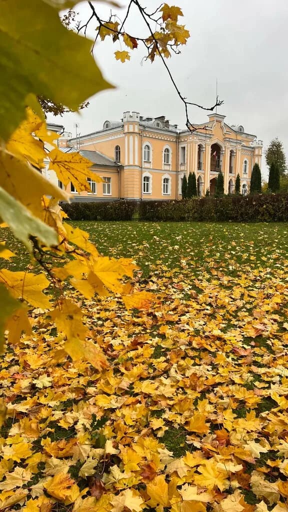 Дворец Гуттен-Чапского — фото 6