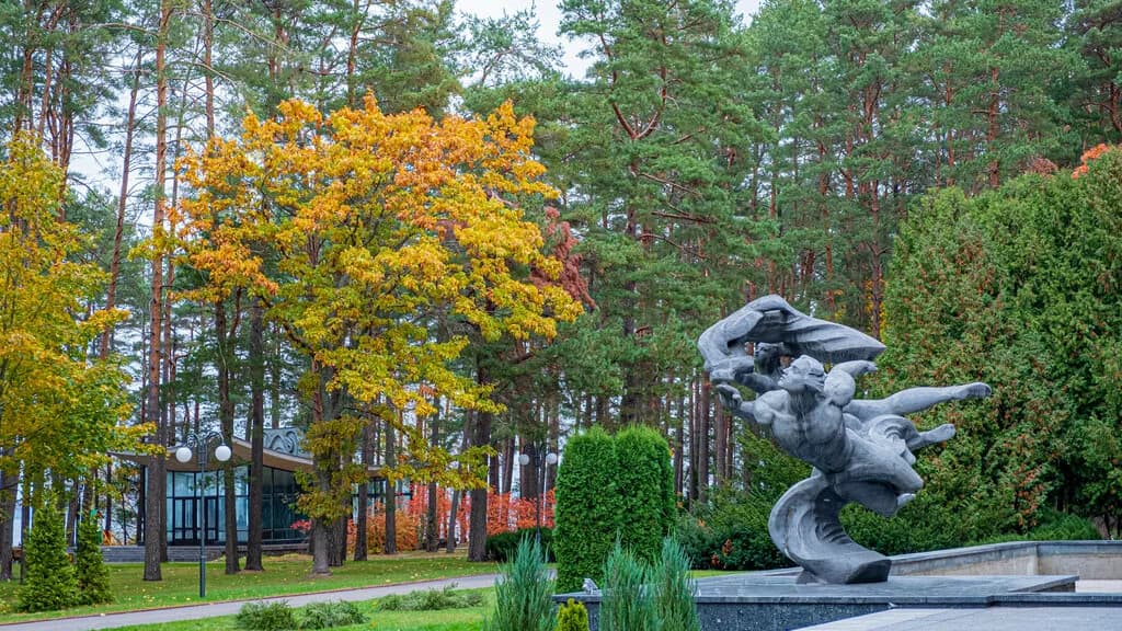 Санаторий «Сосны» — фото 3