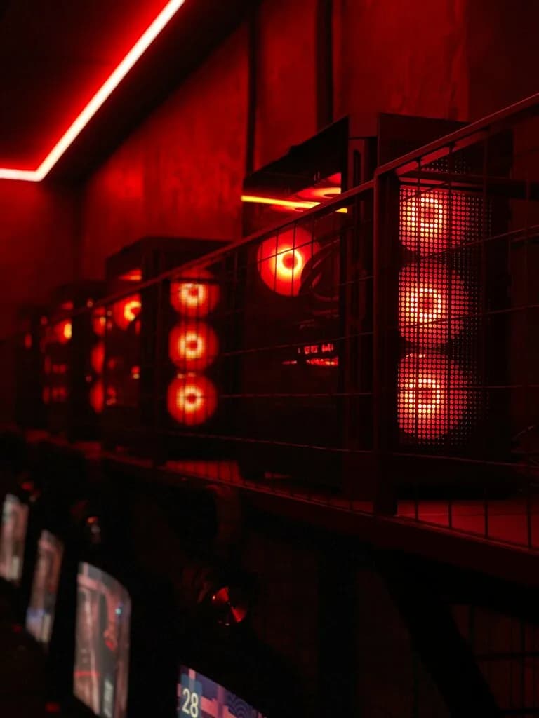 Bushido-x — фото 6