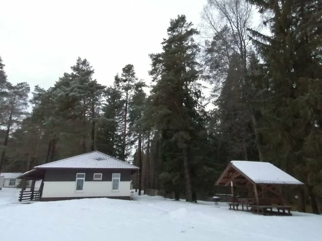 Лесной Лис
