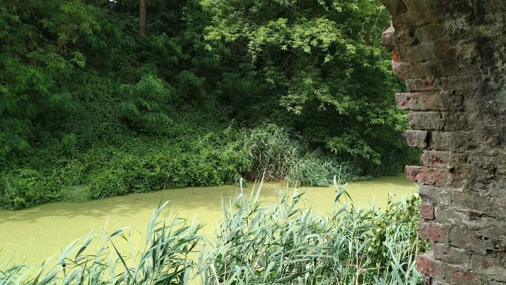 Капонир во рву I фронта с сортией — фото 4