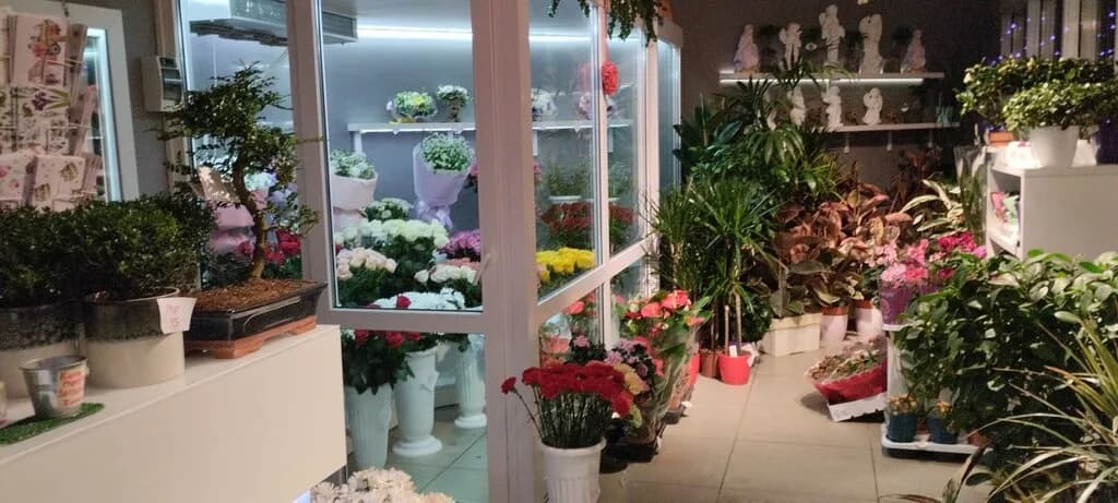 Flok Flowers