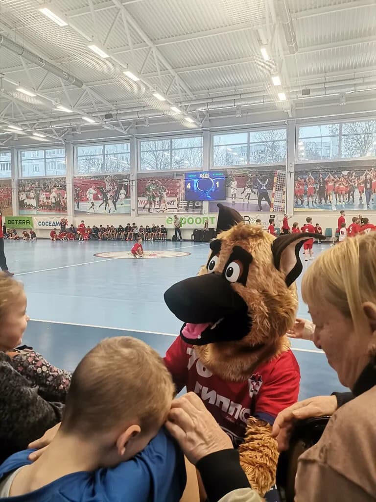 Дом гандбола — фото 6