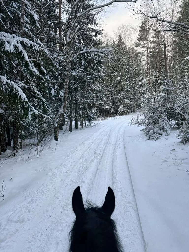 Конно-спортивный клуб Алеси Тарасевич — фото 4