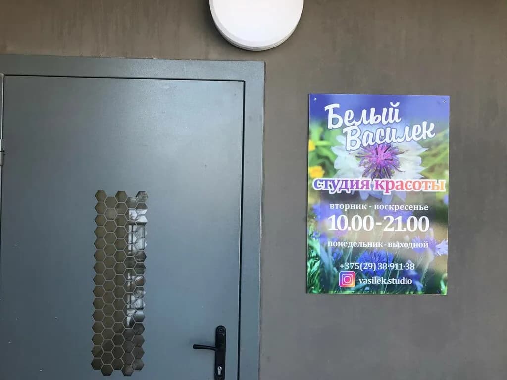 Белый василек — фото 4