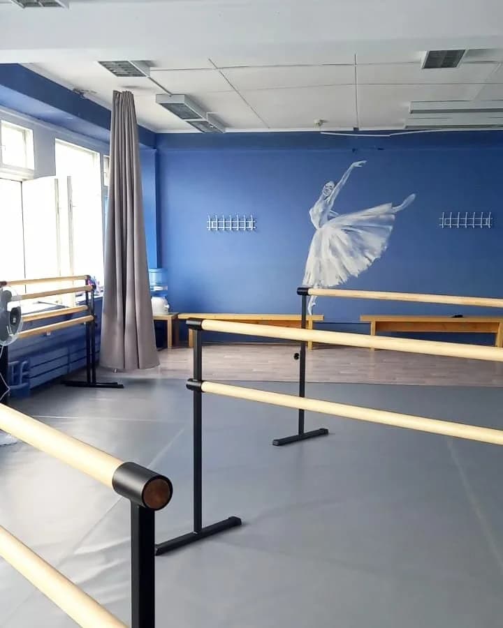 Клуб балета B.S. Ballet (Б.С. Балет) — фото 5