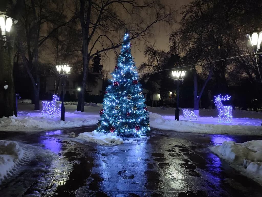 Дворцово-парковый комплекс Dipservice Hall (Дипсервис Холл) — фото 5