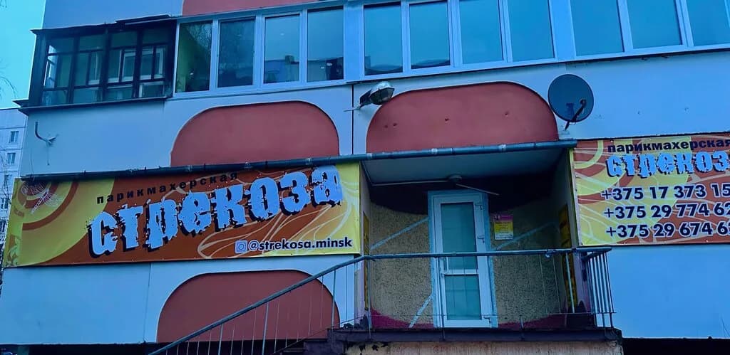 Стрекоза