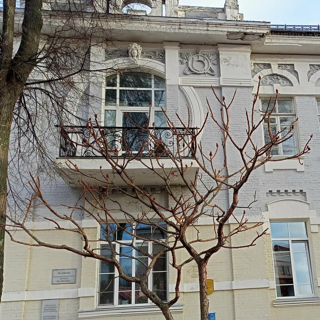 Дом купца Грошикова — фото 3