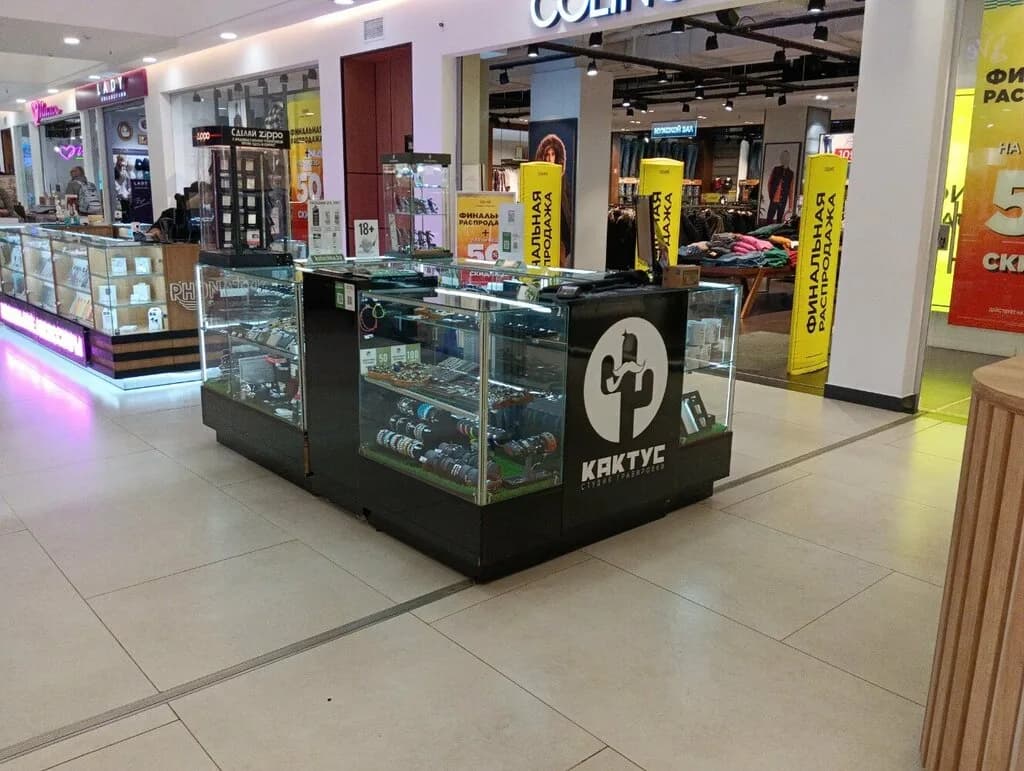 Кактус