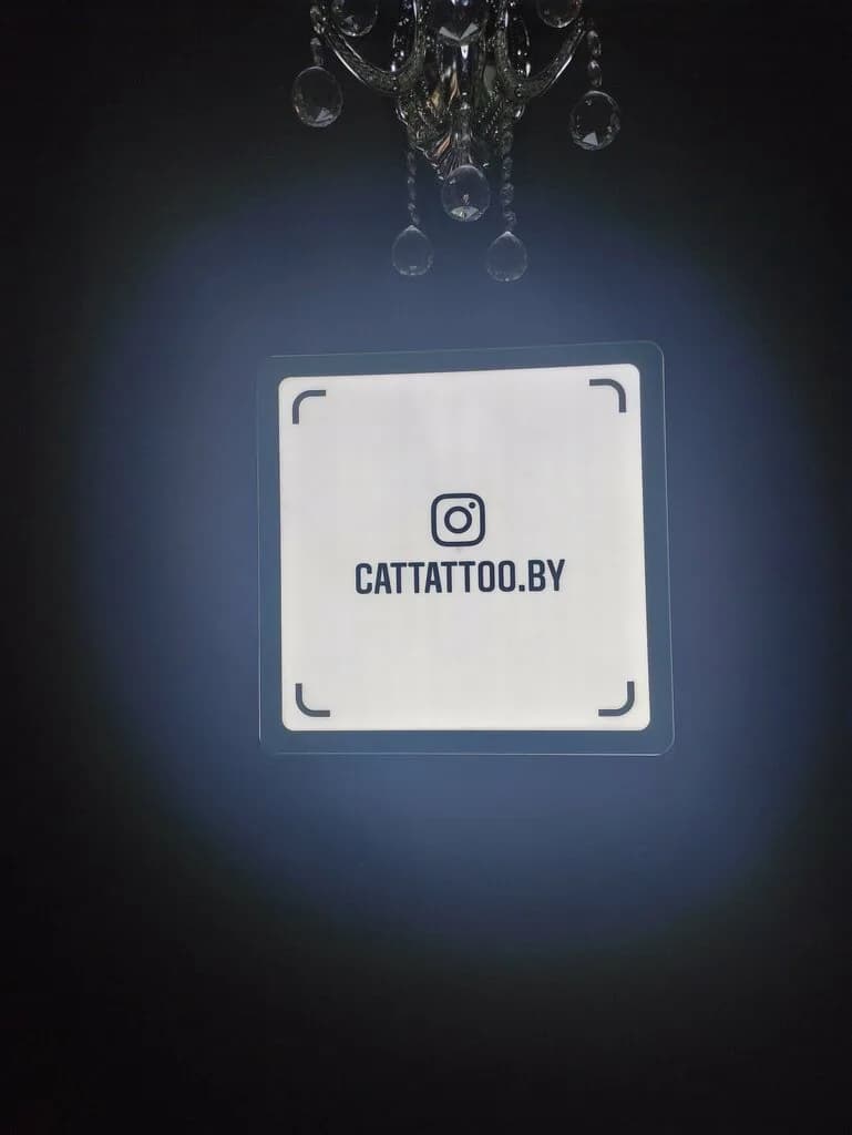 Cattattoo — фото 5