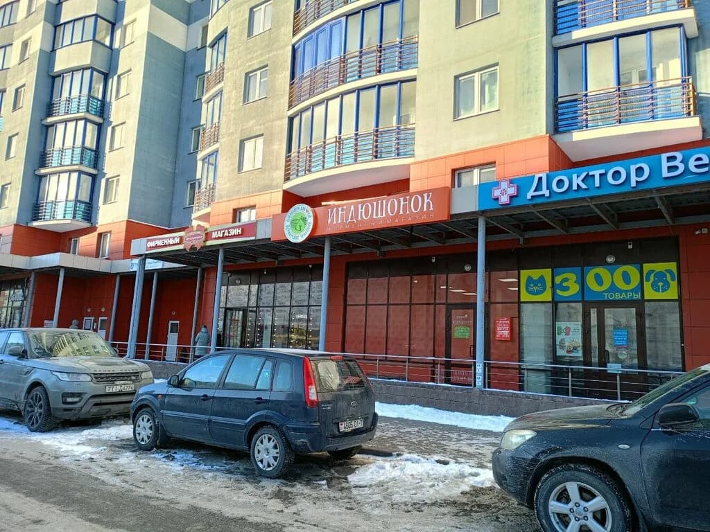 Индюшонок