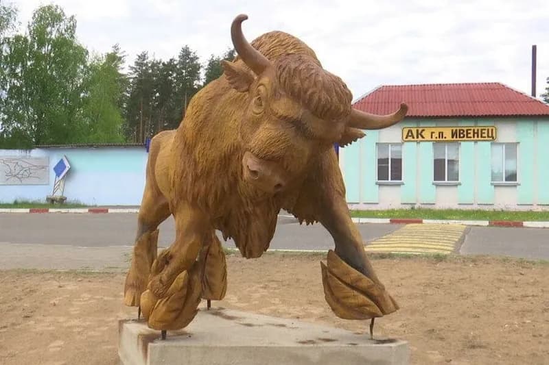 Зубр