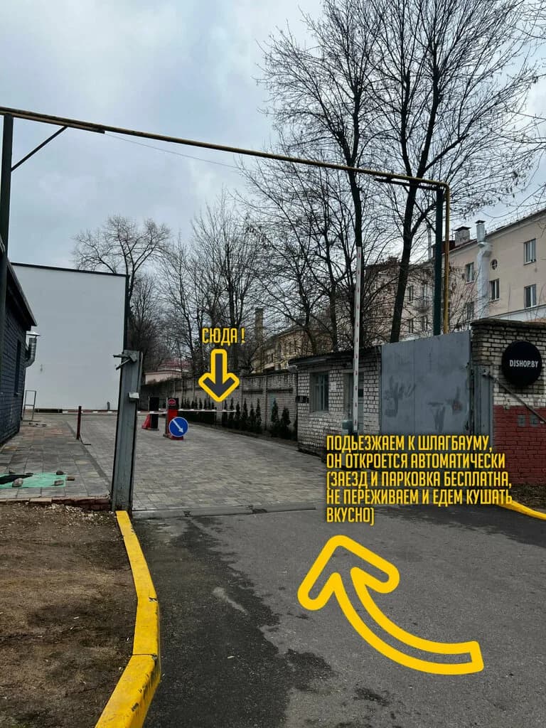 Реберная Моана — фото 5