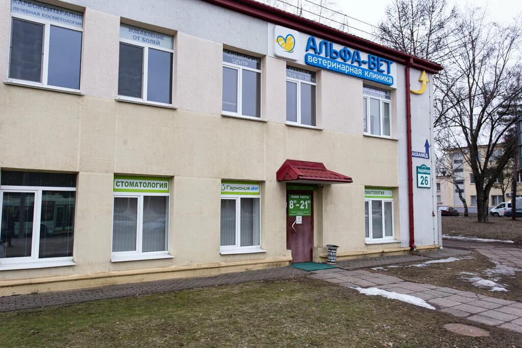 Стоматология «Гармония-Дент» — фото 3