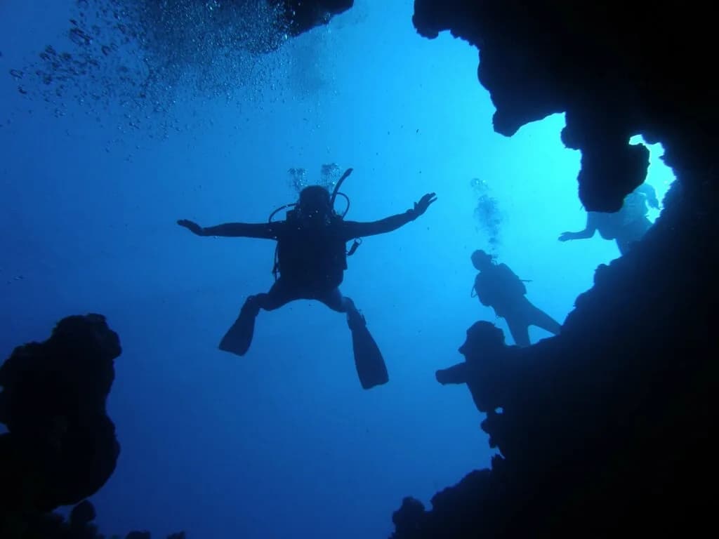 ОКЕАН сертифицированный дайвинг центр PADI — фото 6