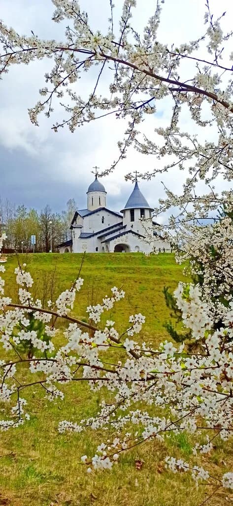 Храм в честь иконы Божией Матери Млекопитательница — фото 4