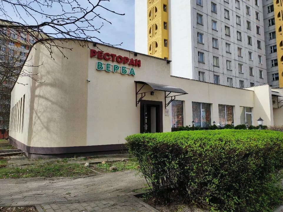 Верба — фото 3