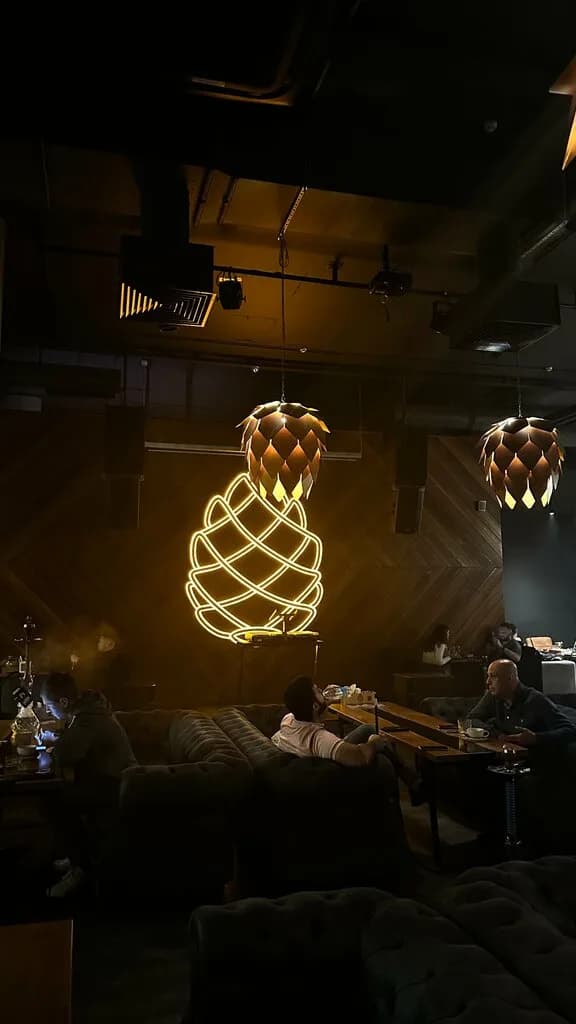 Шишка Lounge — фото 2