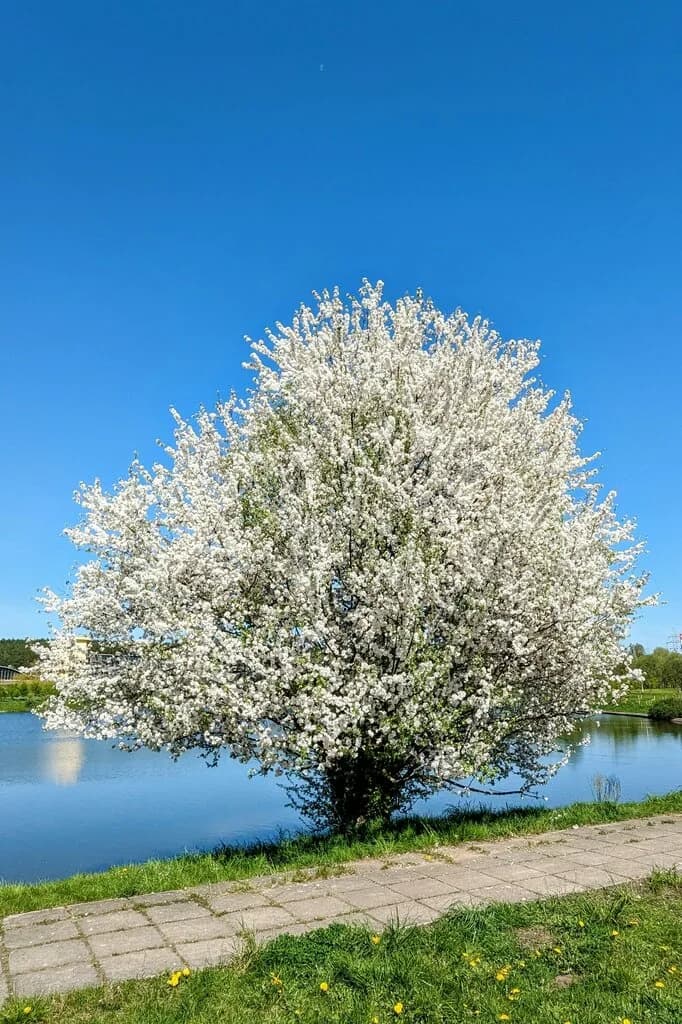 Гостиница «Агат» — фото 6