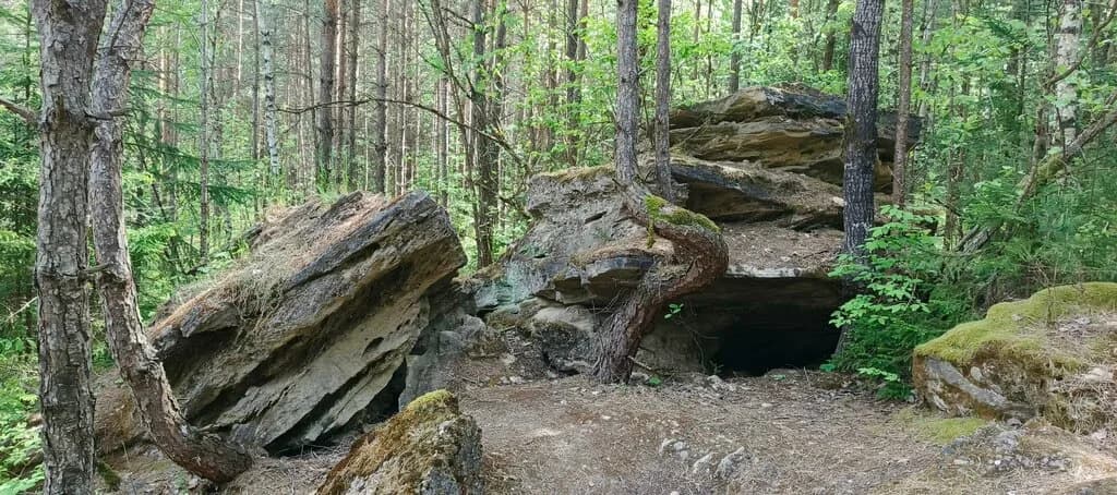 Ледниковые конгломераты Смольчицкие
