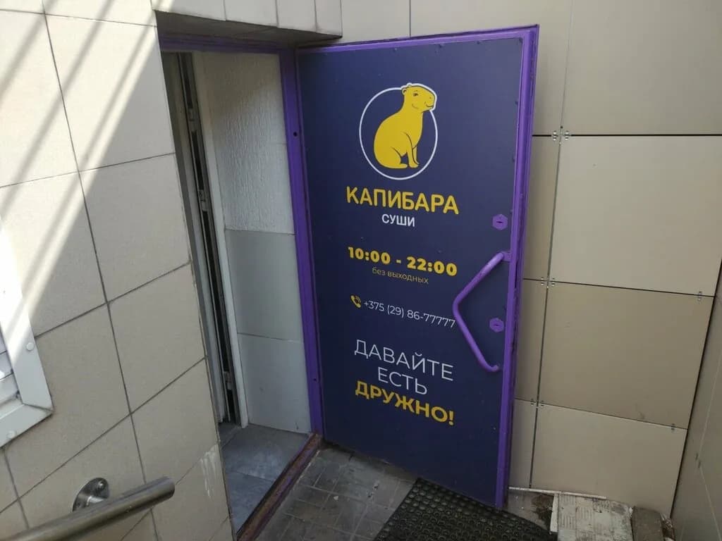Капибара — фото 6