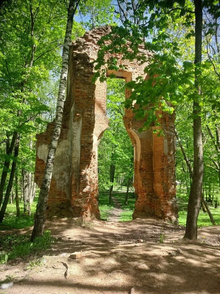 Руины дворца Тышкевичей