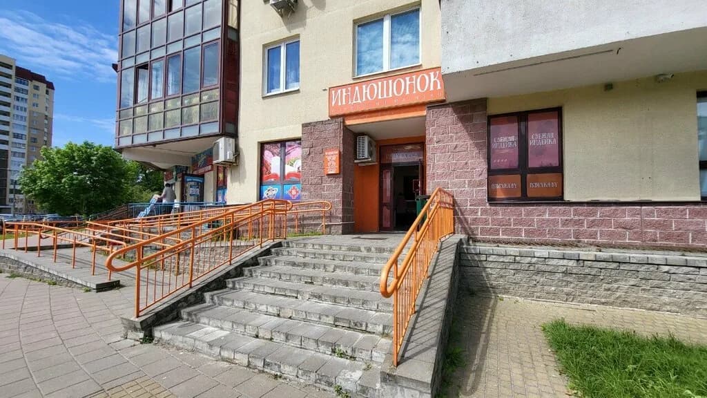Индюшонок — фото 6