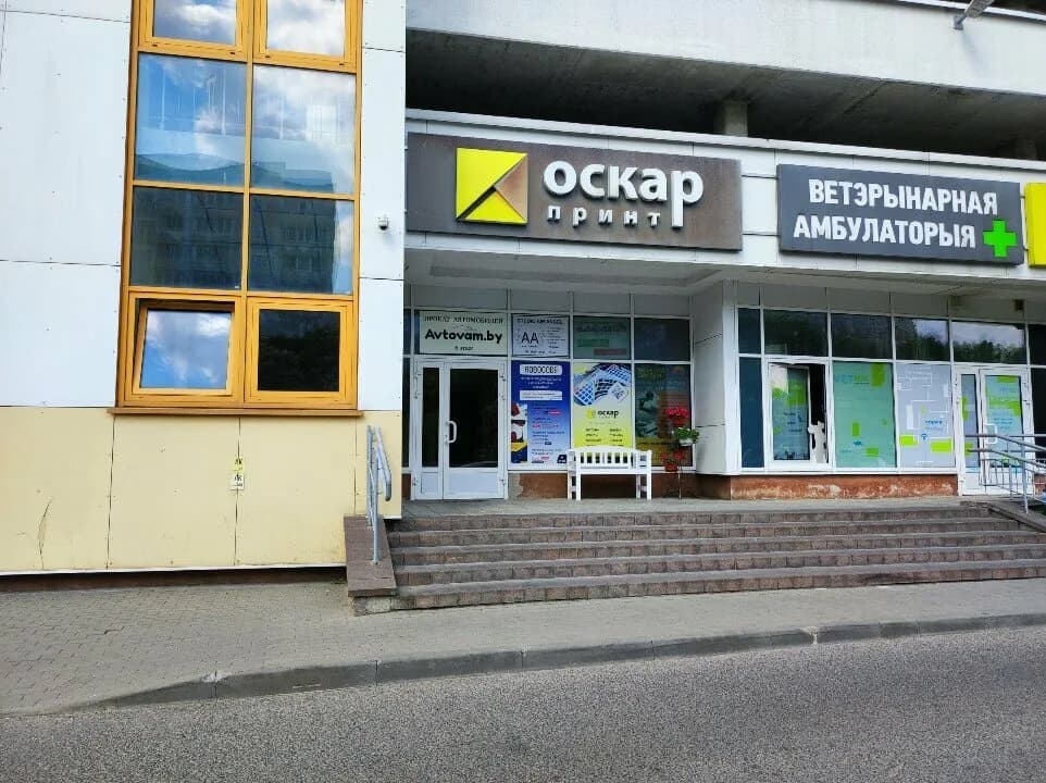 Центр детского развития и логопедии «Алфавит»