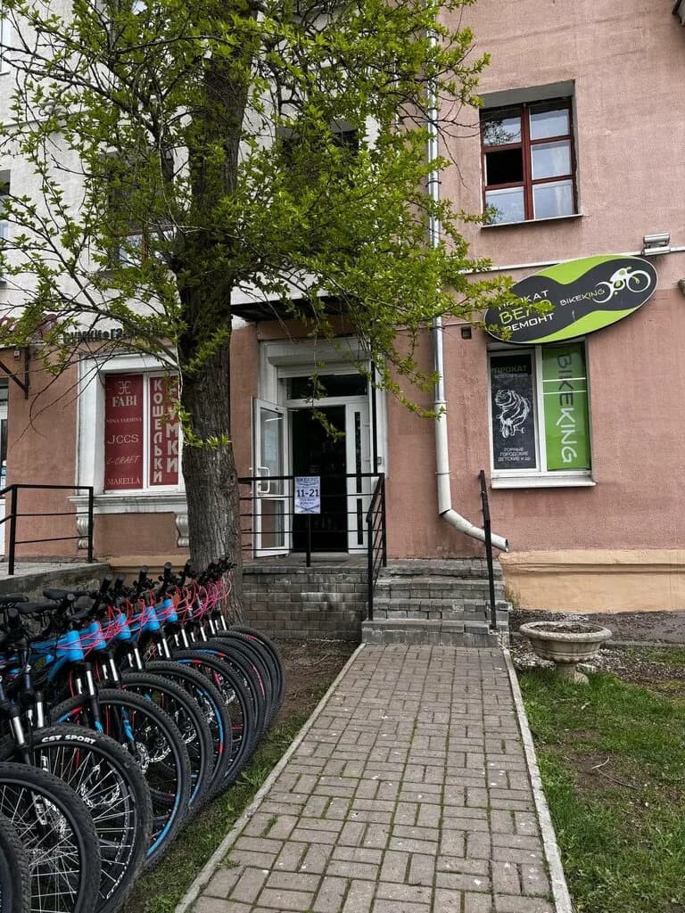 BikeKing