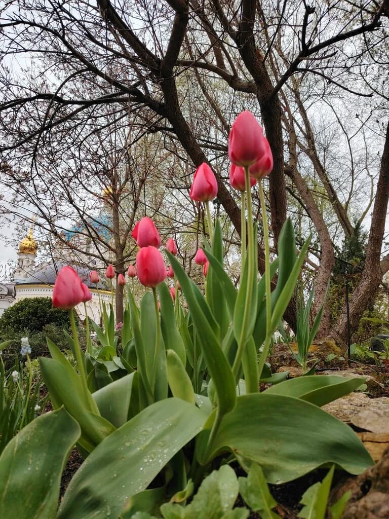 Дом паломников — фото 5