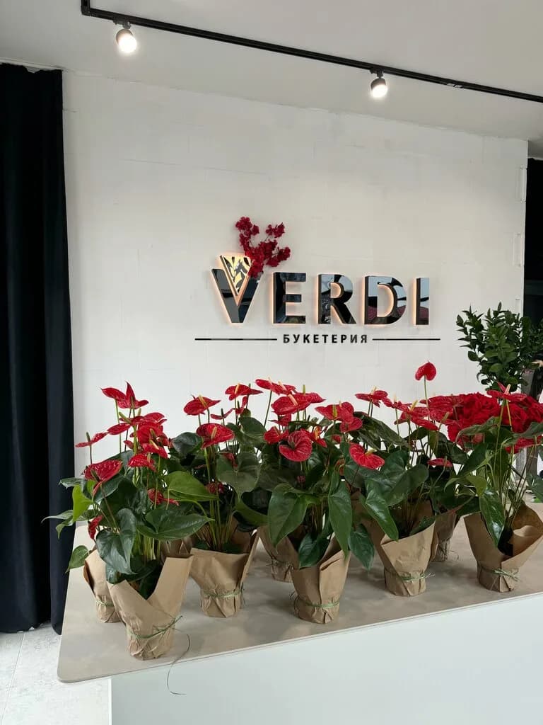 Verdi — фото 5