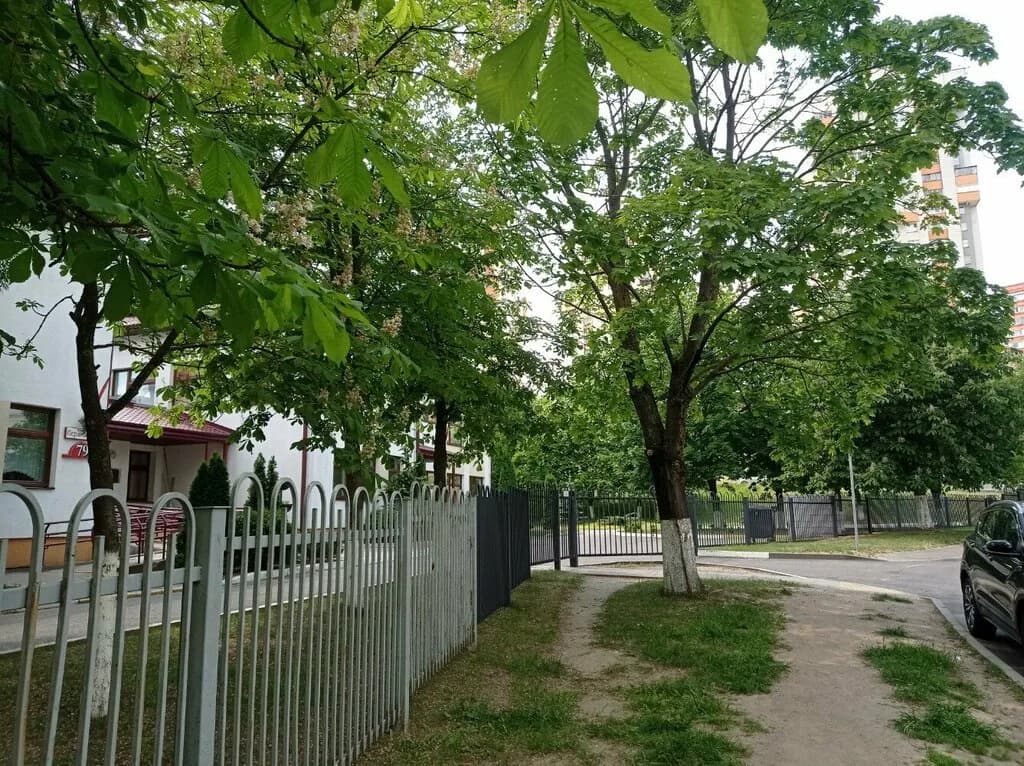 Центр коррекционно-развивающего обучения и реабилитации Центрального района г. Минска — фото 6