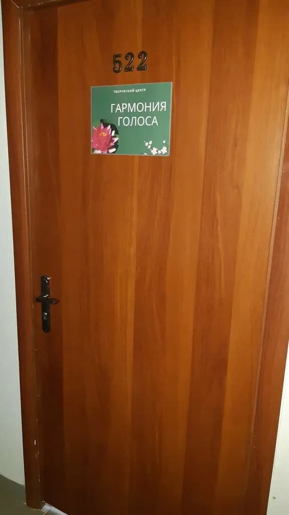 Гармония голоса — фото 2