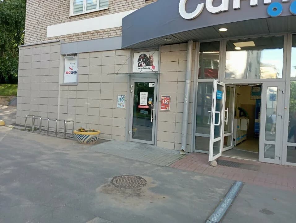 Санта
