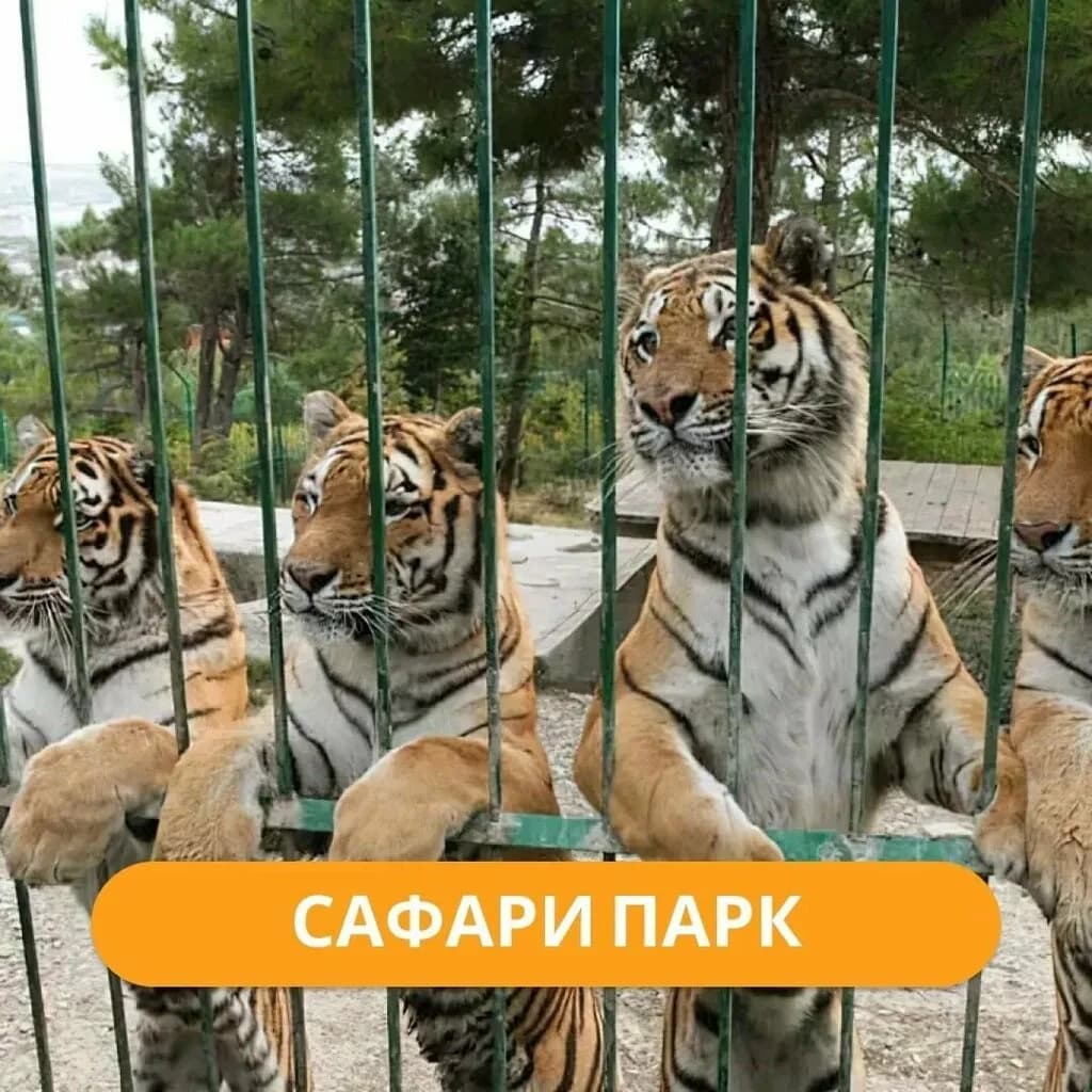 Туристическая компания «Любимый тур» — фото 6