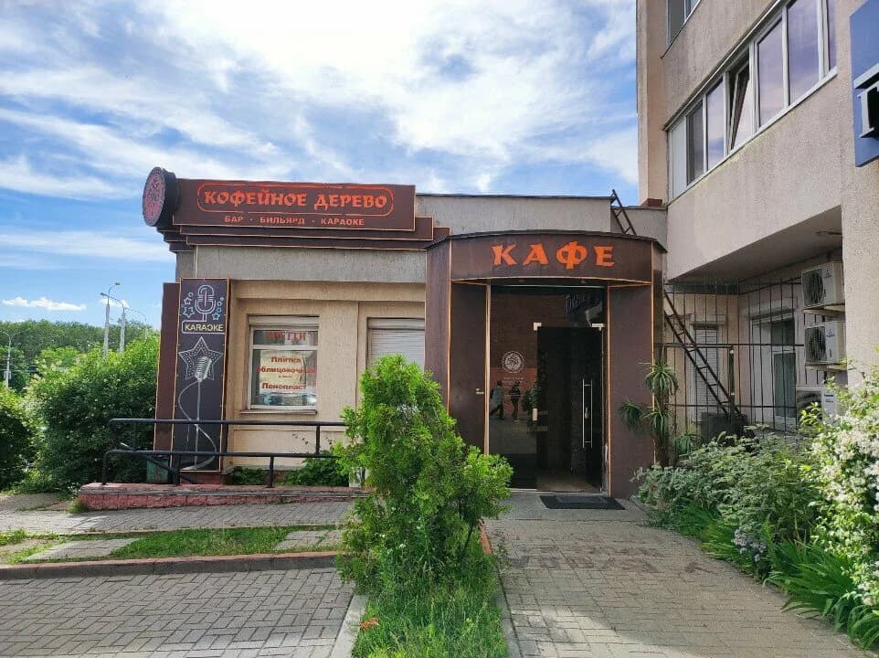 Кофейное дерево